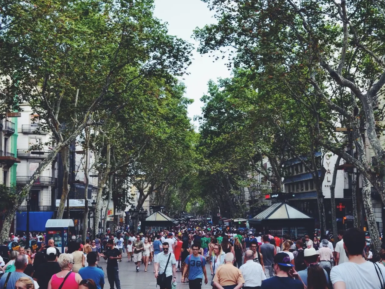 https://vadovia.kinguru.pt/wp-content/uploads/2024/08/pexels-pavlo-luchkovski-106052-1280x960.webp
